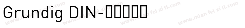 Grundig DIN字体转换